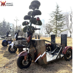 Electric Scooter for Wheelchair